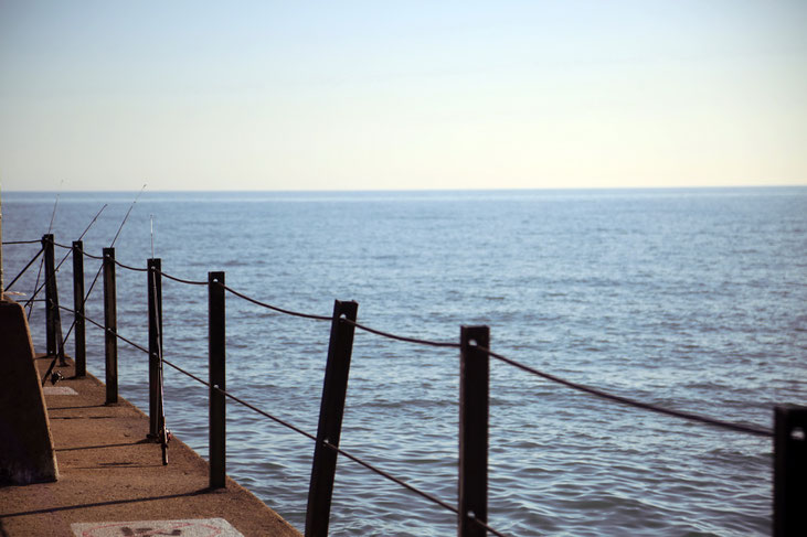 Rogers Park beach