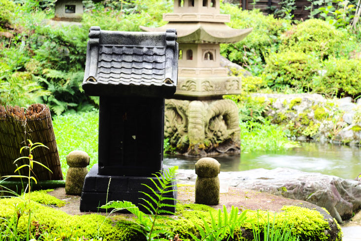 天気は雨　Leica #thambar  を　#sonyα7ⅱ  に装着。　アダプターは#lmea7 にしてバラの花を撮影。　露出を変えての画像比較。　#センタースポットフィルター  はなし。