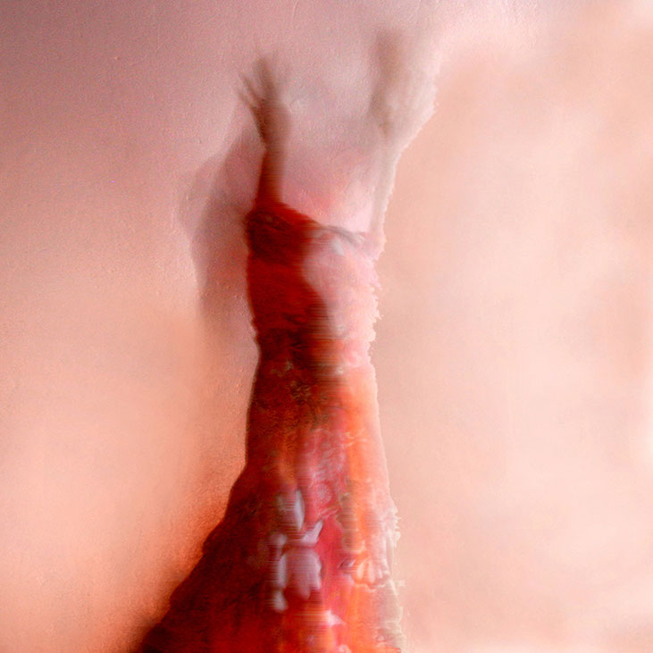 'how to dissolve'