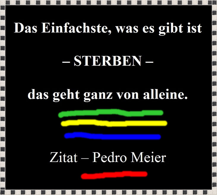 Pedro Meier Zitat – » Das Einfachste, was es gibt ist – STERBEN – das geht ganz von alleine. « 2025 Archiv Pedro Meier Schriftsteller, Multimedia Artist, Conceptual Art, Spoken Word Performance, Sound-Installation, Windorgel, Künstlerlexikon SIKART Zürich