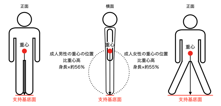 ヒトの支持基底面と重心について　姿勢改善・歩き方改善ラボ【㈱n-position】骨盤コントロール補助器「ニュートラル」開発会社