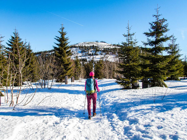 Winterwanderung auf den Lusen im Nationalpark Bayerischer Wald