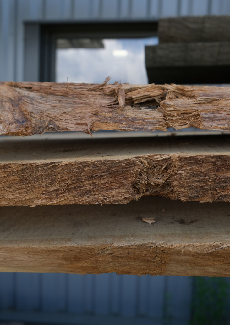 tranche de bois