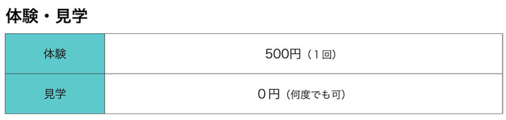 ダンスとは一味違うカリキュラムをまずは見学体験ください！見学無料、体験500円でお待ちしています。