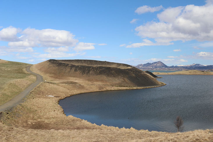 Myvatn-See mit Pseudokratern - Exklusive Islandsrundreise von My own Travel ©My own Travel