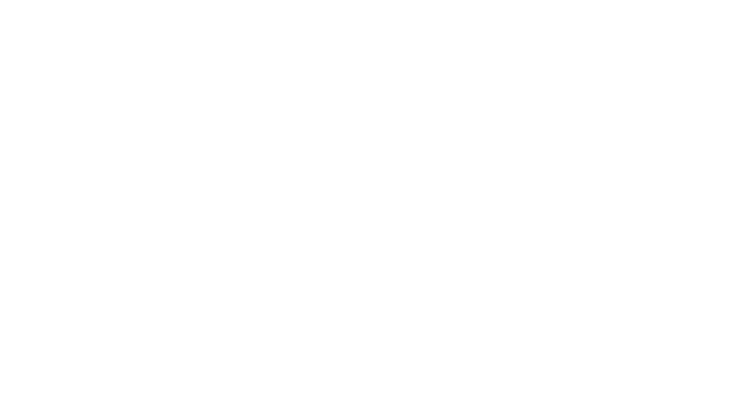 JuKi Flensburg