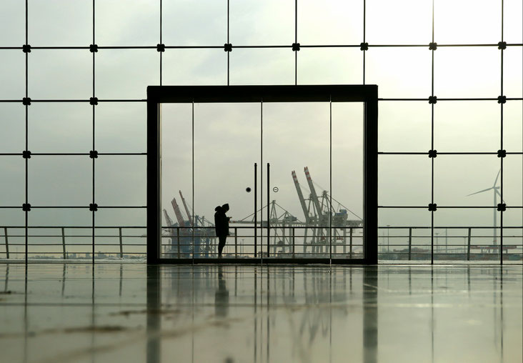 Der Hamburger Hafen mit Kränen