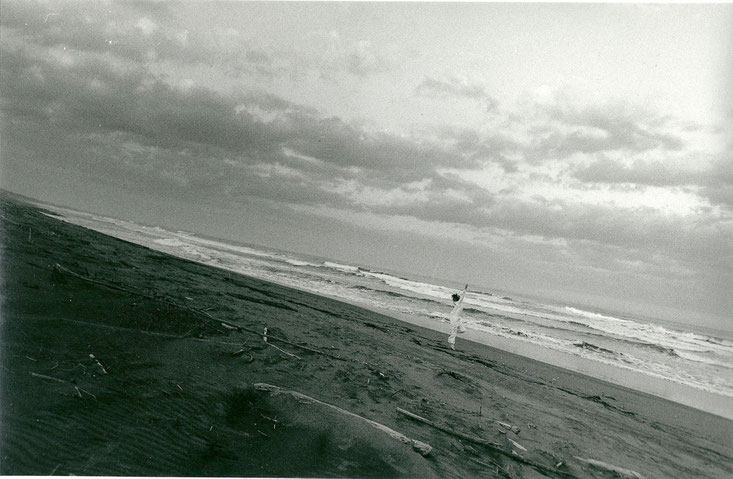 「波」　/　2009 　Dance by Tomoe Sato　