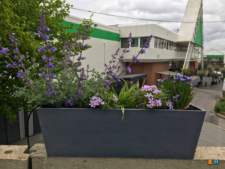 Rendu d'une jardinière de fleurs violettes