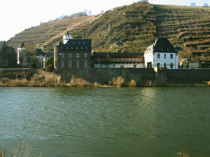 位於Koblenz 科布倫茨的 Schloss von der Leyen 馮德萊恩城堡