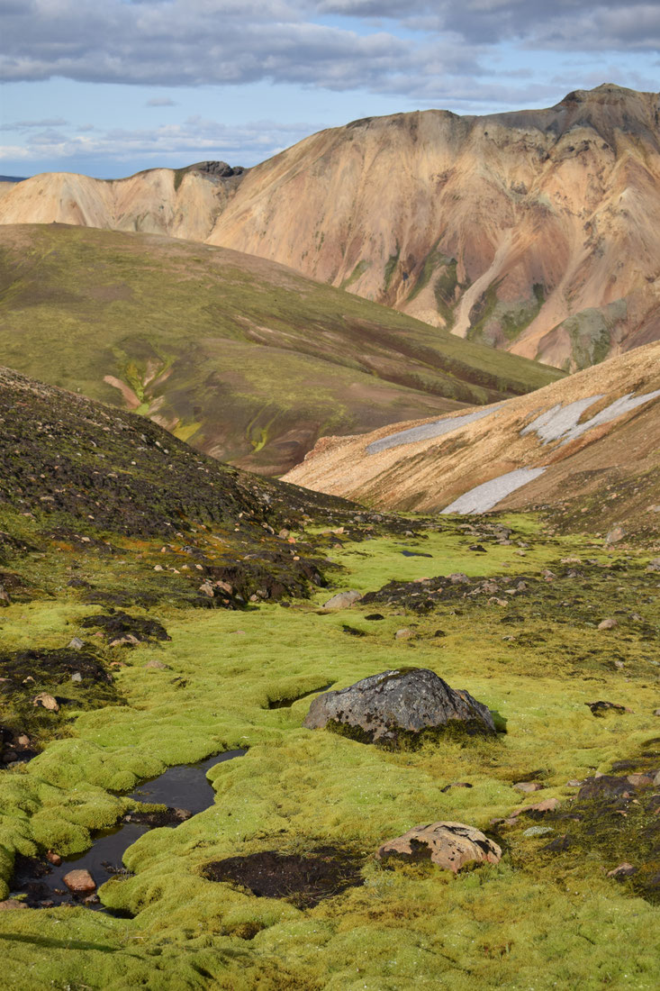 lindaskart moss - Skalli hike Landmannalaugar