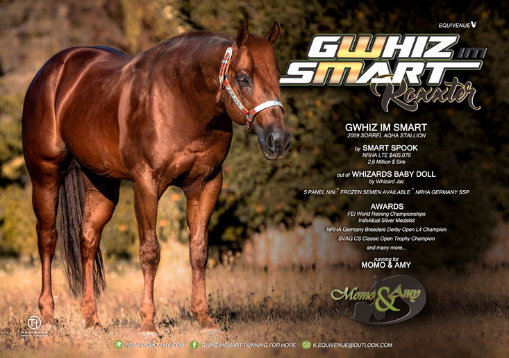 Gwhiz im smart Quarter Horse Hengst - Spook - Roxxter