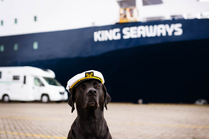 Mit DFDS von Amsterdam nach Newcastle Die Roadies mit dem Wohnmobil