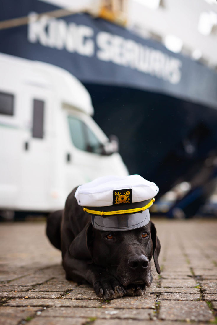 Fähre_Schiff_Wohnmobil_Hund_DFDS_Amsterdam_Newcastle