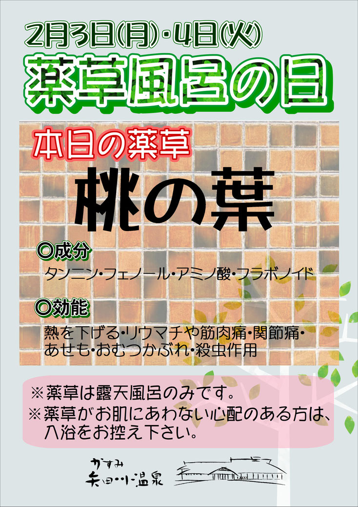 2月第1週目の薬草湯は 桃の葉 かすみ矢田川温泉