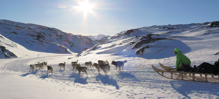 Inverno nella Groenlandia orientale. Si vede il paesaggio montuoso innevato di Tasiilaq. In primo piano, una slitta trainata da cani in piena corsa. 15 cani da slitta trainano la slitta. Davanti alla slitta, il musher è inginocchiato e dirige i suoi cani.