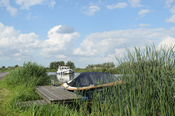 De Waver varen riet kronkelen