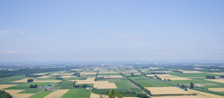 十勝の風景