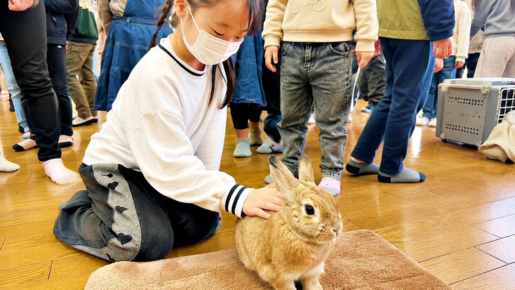 愛知県や名古屋市、岐阜県、三重県のイベントで触れ合い移動動物園をしているイメージ