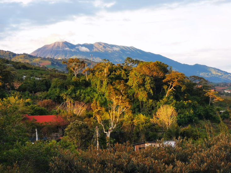 View of the Turrialba Volcano from the farm.