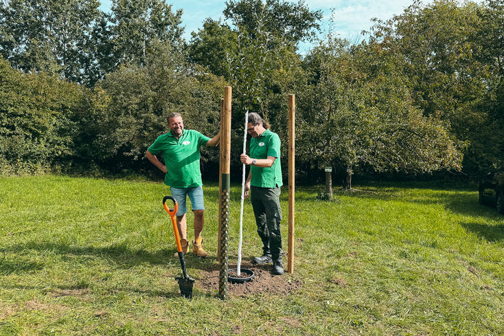 v.l. 2. Vorsitzender Ludwig Siegele und 1. Vorsitzender Oliver Hartstang bei der Baumpflanzung