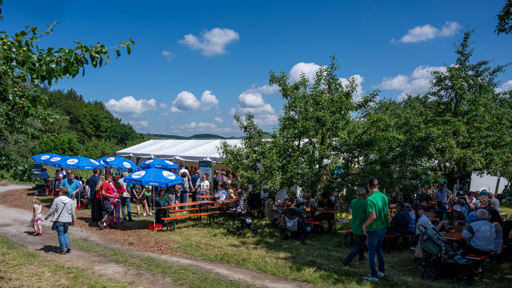 Festbetrieb