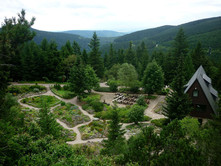 Auf der Höhe des Rennsteigs, rechts von der Bundesstraße liegt der Rennsteiggarten Oberhof.