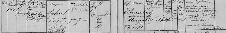 Heiratsmatrikel Mayer Sokal und Sofie Eibenschütz geb. Margulies 1891