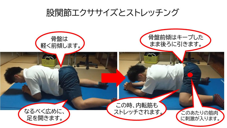 肩関節の痛み　姿勢　肩甲骨　肩甲骨痛み　背中の痛み　野球肩の原因　野球肩原因　野球肩治し方　野球肩体操　野球肩ストレッチ　野球　野球肩　肩が痛い　ピッチャー　リトルリーガーズショルダー　腱板損傷　投球傷害　水泳　競泳　腰痛　分離症　分離すべり症　水泳肩スイマーズショルダー　水泳肩　スイマーズショルダー治療　スイマーズショルダー治るのか　岐阜　岐阜市　岐阜市茜部　岐阜市東鶉　岐阜市南鶉　岐阜市中鶉　岐阜市柳津町　羽島市　羽島郡　笠松町　岐南町　茜部　鶉　東鶉　中鶉　南鶉　柳津　笠松　