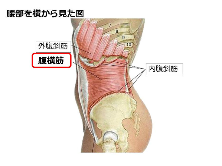 水泳　競泳　肩痛　肩が痛い　インピンジメント症候群　腰が痛い　腰痛　分離症　分離すべり症　水泳肩スイマーズショルダー　水泳肩　スイマーズショルダー治療　スイマーズショルダー治るのか　岐阜　岐阜市　岐阜市茜部　岐阜市鶉　岐阜市柳津　羽島市　羽島郡　笠松町　岐南町　茜部　鶉　柳津　笠松　