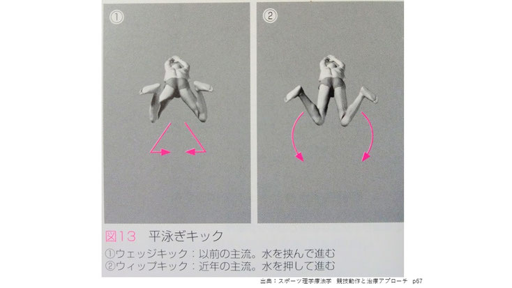 平泳ぎの股関節可動域の改善方法について考えてみました 岐阜市で整体なら 日本代表サポート経験の確かな技術 みなみ鍼灸接骨院 平泳ぎの股関節可動域の改善方法について考えてみました 岐阜市で整体なら 日本代表サポート経験の確かな技術 みなみ鍼灸接骨院