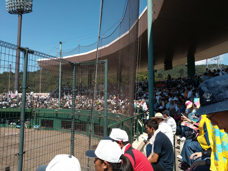 野球 野球肩 肩が痛い ピッチャー リトルリーガーズショルダー 腱板損傷 投球傷害 水泳 競泳 腰痛 分離症 分離すべり症 水泳肩スイマーズショルダー 水泳肩 スイマーズショルダー治療 スイマーズショルダー治るのか 岐阜 岐阜市 岐阜市茜部 岐阜市東鶉 岐阜市南鶉 岐阜市中鶉 岐阜市柳津町 羽島市 羽島郡 笠松町 岐南町 茜部 鶉 東鶉 中鶉 南鶉 柳津 笠松