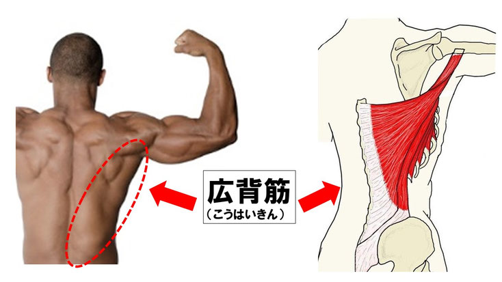野球 野球肩 肩が痛い ピッチャー リトルリーガーズショルダー 腱板損傷 投球傷害 水泳 競泳 腰痛 分離症 分離すべり症 水泳肩スイマーズショルダー 水泳肩 スイマーズショルダー治療 スイマーズショルダー治るのか 岐阜 岐阜市 岐阜市茜部 岐阜市東鶉 岐阜市南鶉 岐阜市中鶉 岐阜市柳津町 羽島市 羽島郡 笠松町 岐南町 茜部 鶉 東鶉 中鶉 南鶉 柳津 笠松