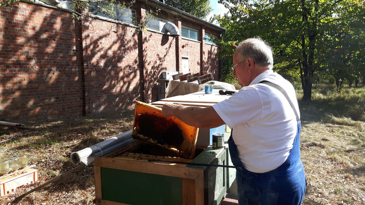 Organic beekeeper Karl Schubert with our bees (Photos: Uwe Jansen)