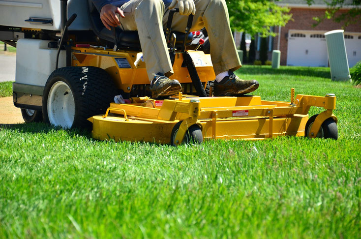 Grass carpet with zeolite chabasite