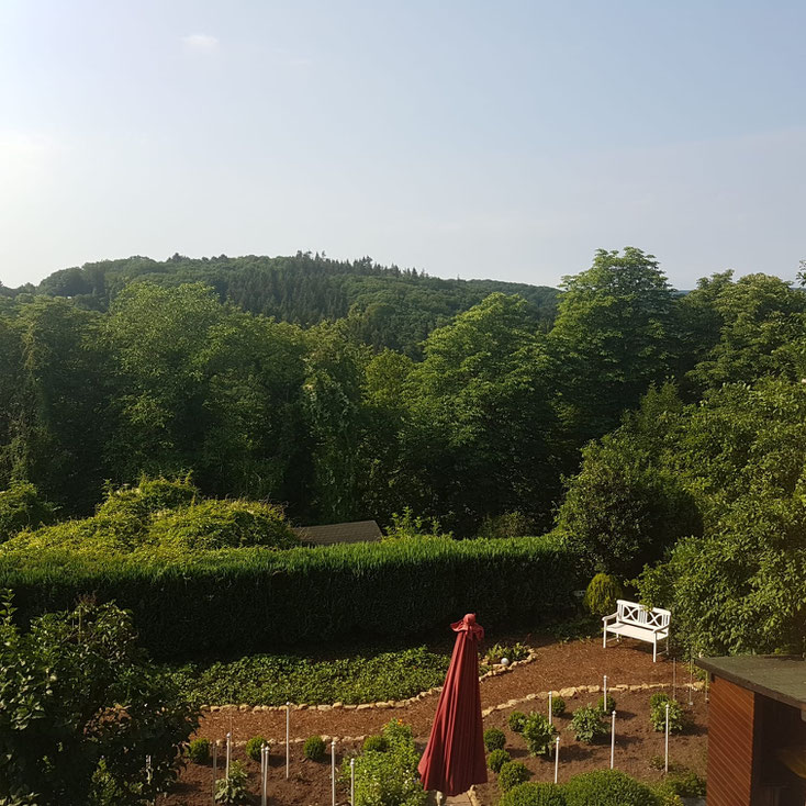 Ein Blick aus unserem Haus in den Garten