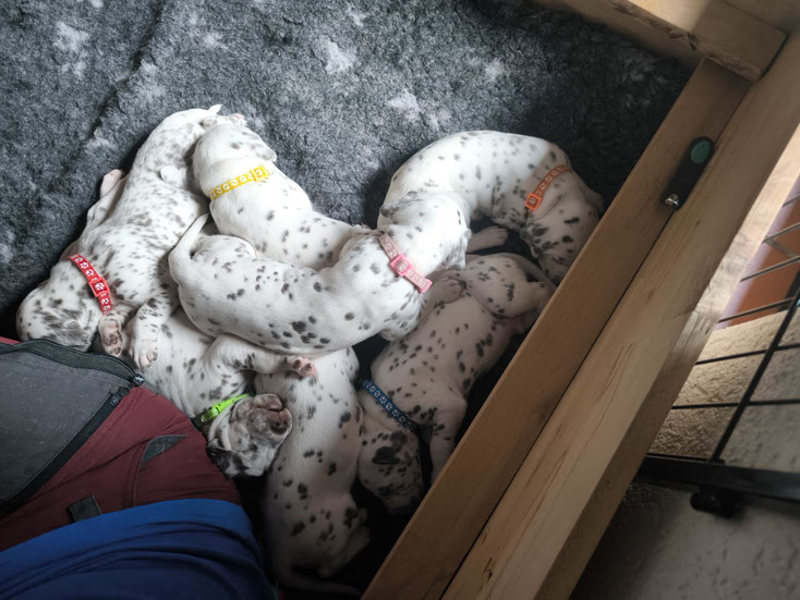 Gruppenkuscheln der Q`chen...09.05.2026