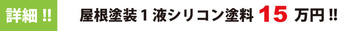 詳細！！屋根塗装パックシリコン塗装 16.5万円！！
