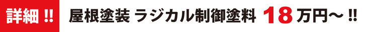 詳細！！屋根塗装パックラジカル制御 19.8万円！！