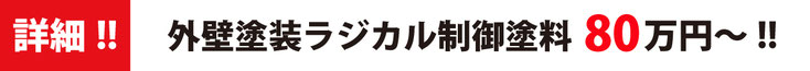 詳細！！外壁塗装ラジカル制御パック 49.8万円！！