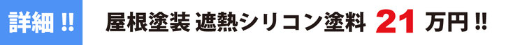 詳細！！屋根塗装パック遮熱シリコン 24.8万円！！