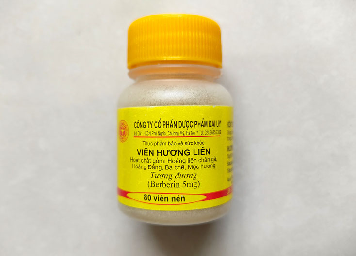 berberin-lokal-medizin-medikament-tabletten-arznei-vietnam-reise-durchfall-magen-darm-beschwerden-foto