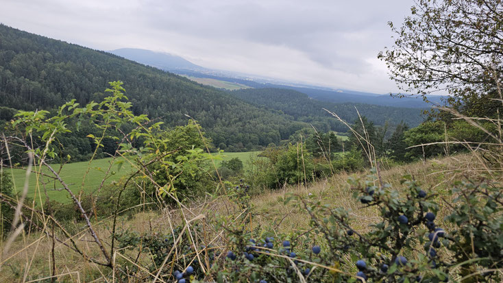 Blick über das Grüne Band Thüringen nach Bayern