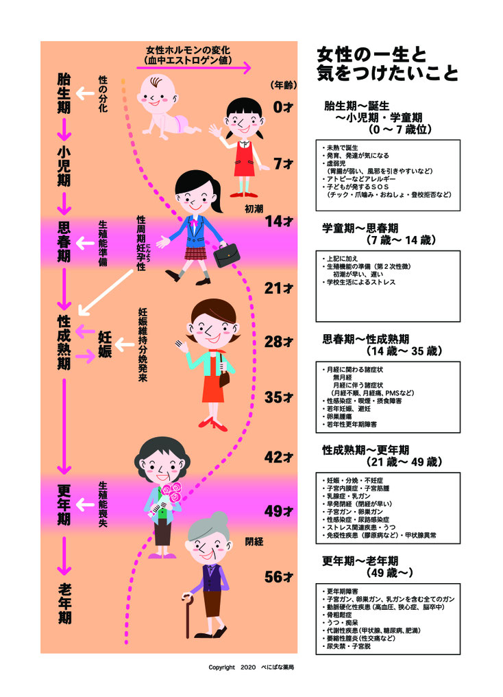 女性の一生年表 Home 女性の一生年表 Home