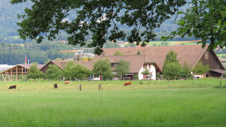 Hotel Kaiserstuhl 159 1 7 3 Lungern Hotel Deals Reviews
