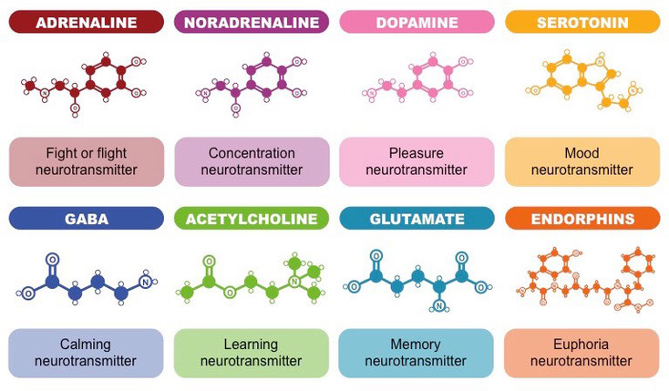 Stress Flucht Angst Angstzustände Panikattacken Mineralstoffe Vitamine Nahrungsergänzung