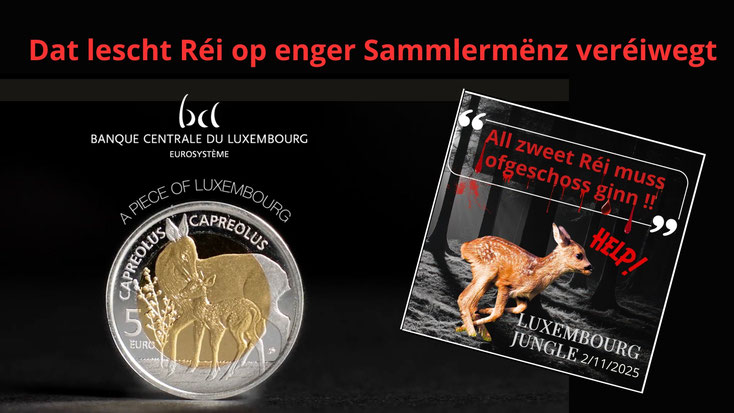 D'Bild weist op der lénkser Säit eng Mënz vun der Banque centrale du Luxembourg op där ee Réi an ee Réikitz gravéiert ass. Op der rietser Säit ass d'Titelbild vun der Satir op Luxembourg Jungle mam Mot d'ordre "All zweet Réi muss ofgeschoss ginn!!"