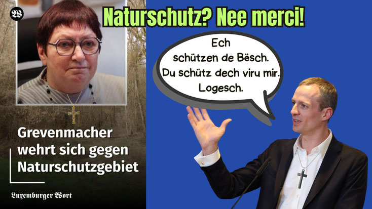 Fotomontage mat zwee Politiker: Lénks eng Foto vun der Buergermeeschtesch vu Gréiwemaacher nieft enger Zeitungsheadline iwwer Widderstand géint e Naturschutzgebitt. Riets den Ëmweltminister mat enger Spriechblos. Iwwerschrëft: "Naturschutz? Nee merci!"