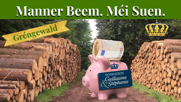 E Bëschwee mat gestapelte gefällte Beem. An der Mëtt e rosa Spuerschwäin mat engem Bündel Euro‑Schäiner an engem Label "Fondation Guillaume & Stéphanie". Iwwerschrëft: "Manner Beem. Méi Suen."