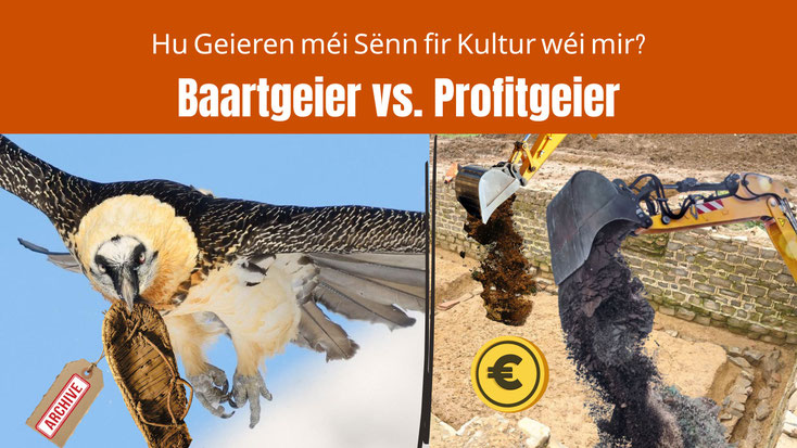 Split-Screen mat engem Baartgeier am Fluch, deen eng Sandal aus dem Mëttelalter am Schniewel huet (lénks am Bild), an engem Bagger bei archäologescher Zerstéierung riets am Bild. Hu Geieren méi Sënn fir Kultur wéi mir?